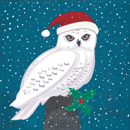 Vector illustration of a Snowy Owl wearing a Santa Claus hat. The bird is sitting on a post at night with snow coming down. Background texture layers with transparencies used.