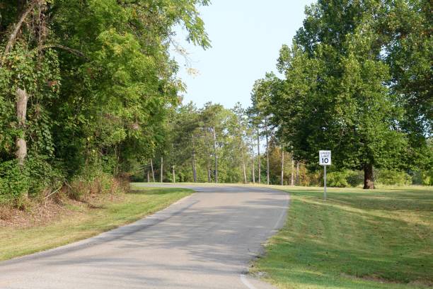 istock Empty Park Road in the Country 1286732951