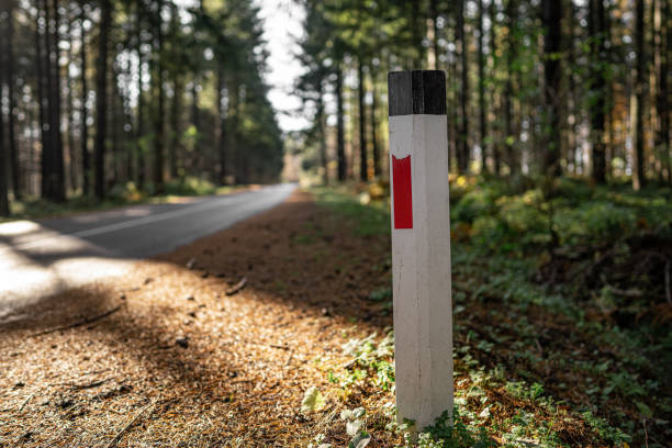marcador de advertencia reflectante de carretera en el bosque - road reflector fotografías e imágenes de stock