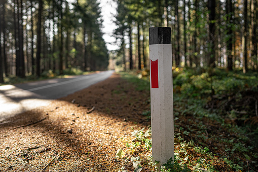 Close up of roadside reflective warning marker in forest