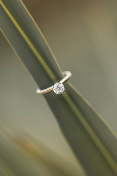 istock Diamond Engagement Ring on a Green Plant Leaf in Jupiter, Florida 1286743573