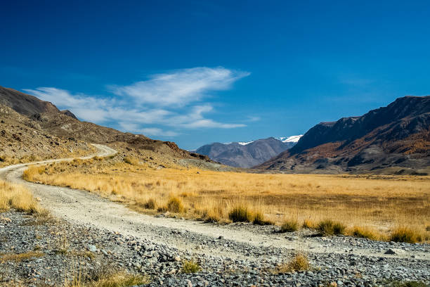 un camino de tierra en las montañas. el camino a la roca. altai. - siberia river nature photograph fotografías e imágenes de stock