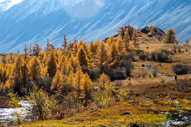 die altai-berge. landschaft der natur auf dem altai-gebirge und in den schluchten zwischen den bergen. - mountain pass stock-fotos und bilder