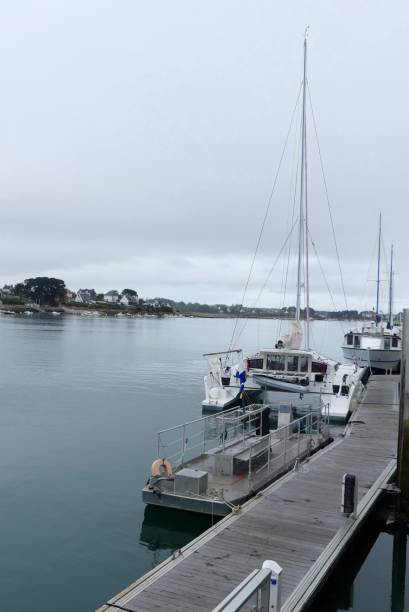 istock Boats in the harbor 1286746287