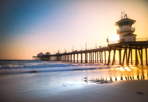 istock Newport Beach Pier 1286746494