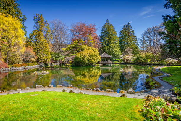 giardino giapponese hatley castle victoria bc canada - landscaped spring canada footpath foto e immagini stock