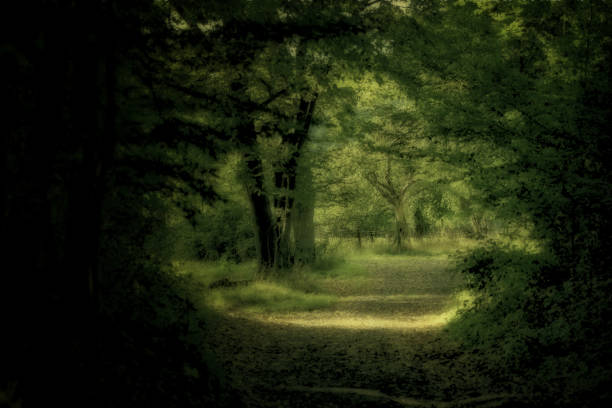 istock Gate to the fairy tale 1286751157