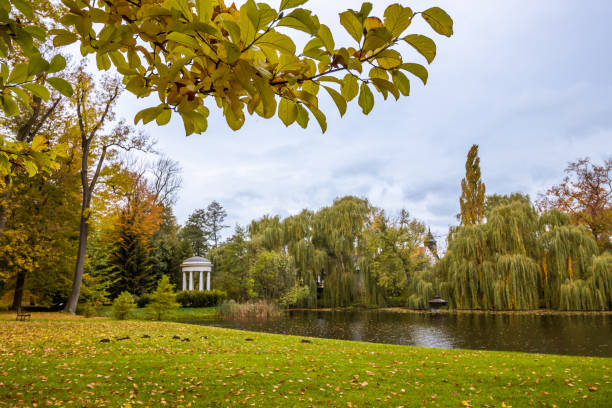 istock Autumn colors in the park 1286751200