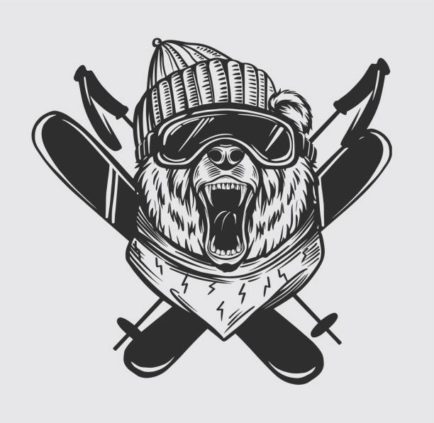 ilustrações, clipart, desenhos animados e ícones de esquiador de urso. snowboard. emblema da estação de esqui, design de impressão - polar bear bear vector mammal