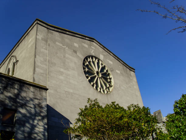 cattedrale neogotica nella città di nelson in nuova zelanda - il monumento di nelson foto e immagini stock