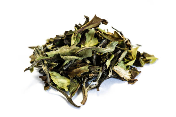 istock dried green tea heap isolated on white background 1286759988