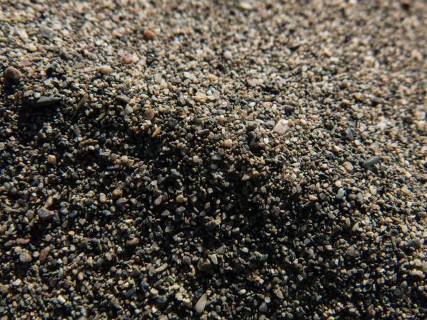 istock macro photo of beach sand for pattern background 1286760820