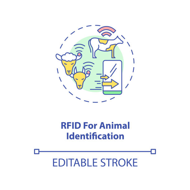 Rfid For Animal Identification Concept Icon Stock Illustration - Download  Image Now - Editable Stroke, Icon, Livestock - iStock
