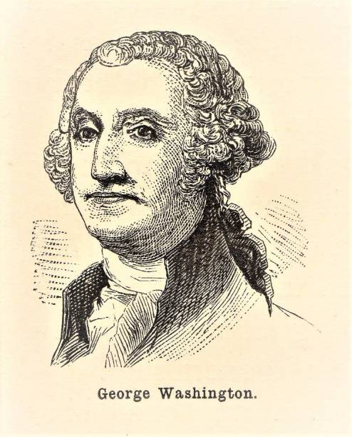 george washington portrait, pierwszy prezydent stanów zjednoczonych, wojna rewolucyjna, ojciec założyciel - founding fathers stock illustrations