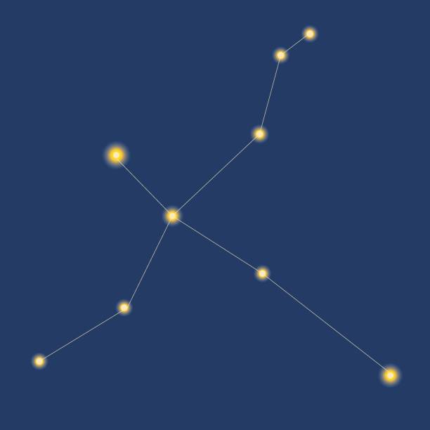 Constellation Cygnus, Cyg isolated, concept of starry sky, astronomy, astrology, vector stock illustration Constellation Cyg isolated. Vector stock illustration. Cygnus or cyg stars in the blue sky. Astrological illustration with the constellation Cygnus. The concept of the starry sky, astrology constellation cygnus stock illustrations