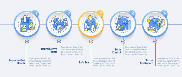 Reproduction Timeline Examples Five Girlfriends Illustrations, Royalty-Free Vector Graphics & Clip Art ...