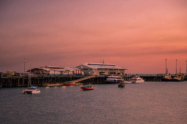 zachód słońca nad brzegiem morza darwin - darwin northern territory australia sunset zdjęcia i obrazy z banku zdjęć