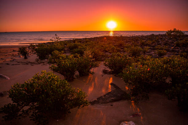 sunset - mindil beach - darwin - darwin northern territory australia sunset fotografías e imágenes de stock
