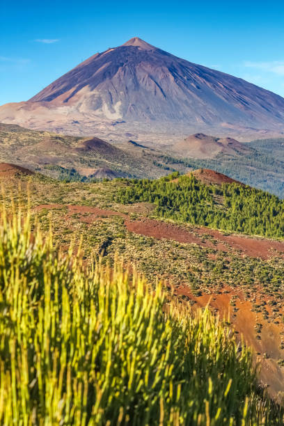 volcán del teide tenerife islas canarias - pico de teide fotografías e imágenes de stock