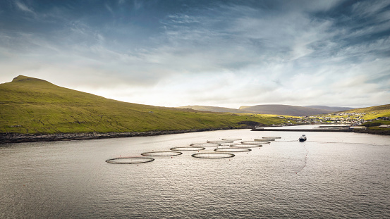 Panorama de la granja de peces de la acuicultura de la acuicultura de la cría de salmón de las Islas Feroe photo