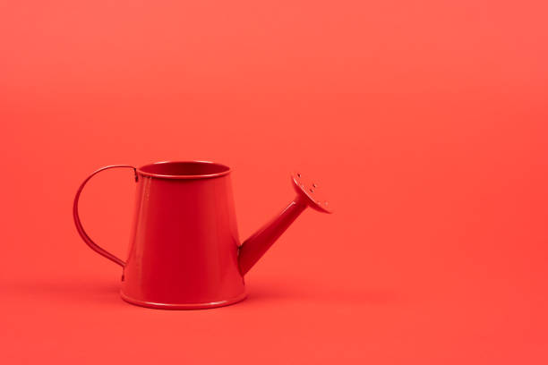 istock Red mini watering can on a red background 1286807352