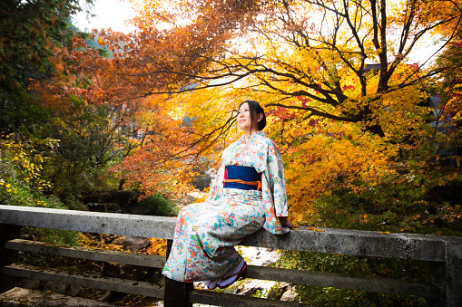 Japanese woman dressed in traditional Kimono and enjoying the Autumn Maple leaves while sitting on a bridge.