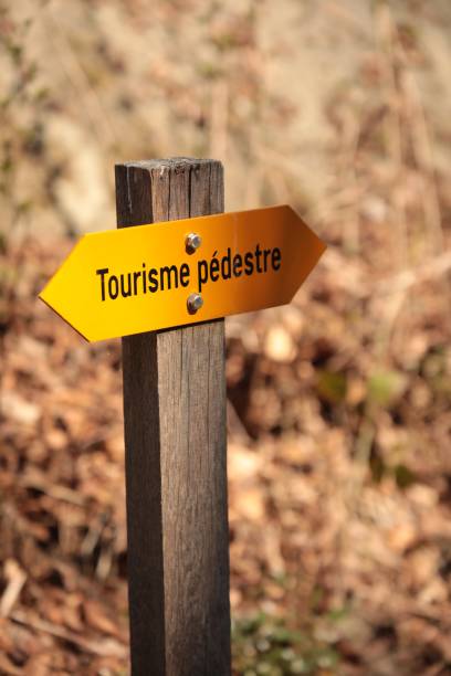 istock Yellow sign with inscription walking tourism 1286815032