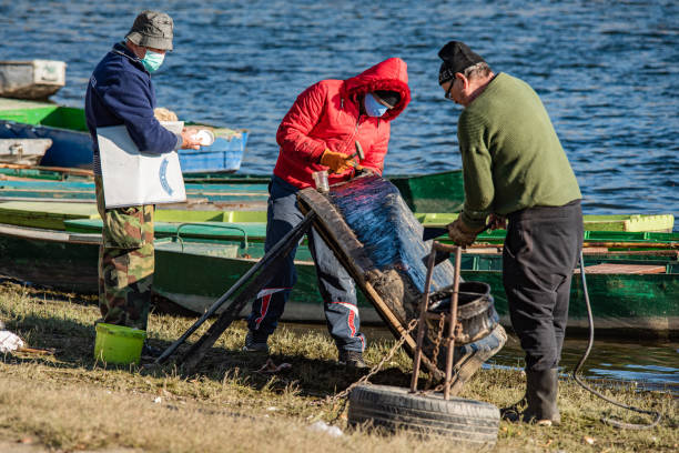 아침에 다뉴브 강에서 보트를 수리하는 남자들. 어부들이 배를 정리하고 수리하고 있습니다. - boathouse work tool equipment old 뉴스 사진 이미지