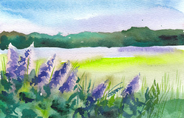 istock Watercolor sketch landscape. Summer green field, flowering plants in the foreground. 1286820724