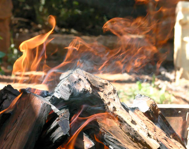From the ashes of a fire rises a Phoenix in the top right of the image