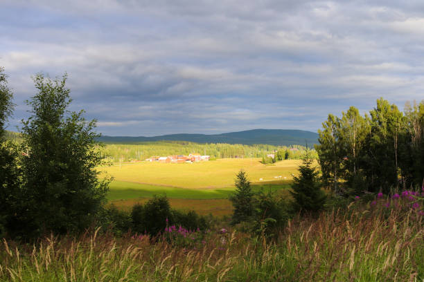 istock Sunlit agricultural fields and village under gray clouds 1286824437