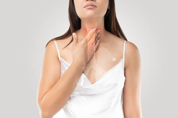 Bronchial or windpipe on the woman body and Bronchitis symptoms Bronchitis symptoms. Illustration of bronchial or windpipe on a woman's body, Concept with healthcare and medicine. oesophagus stock pictures, royalty-free photos & images