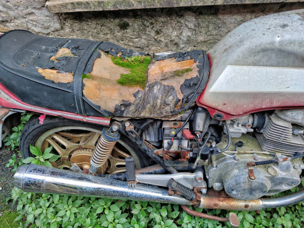 istock abandoned bike with moss on saddle 1286825579