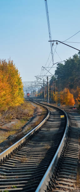 istock The railway passes through a beautiful autumn forest with colorful trees. 1286827266
