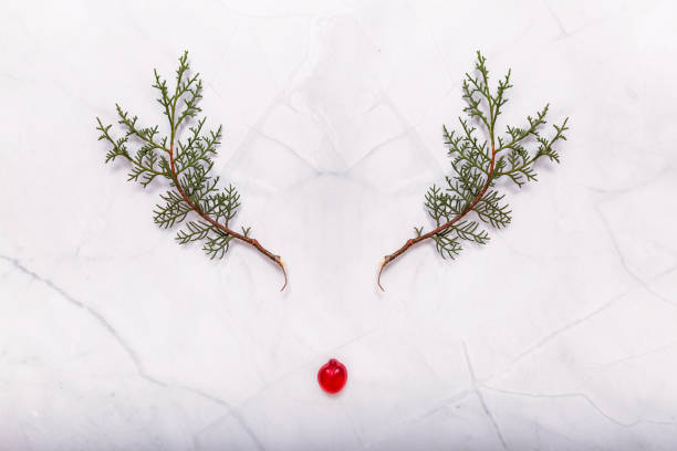 Photography of a reindeer made of Pine branches and red candy on marble background Photography of a reindeer made of Pine branches and red candy on marble background rudolph the red nosed reindeer photos stock pictures, royalty-free photos & images
