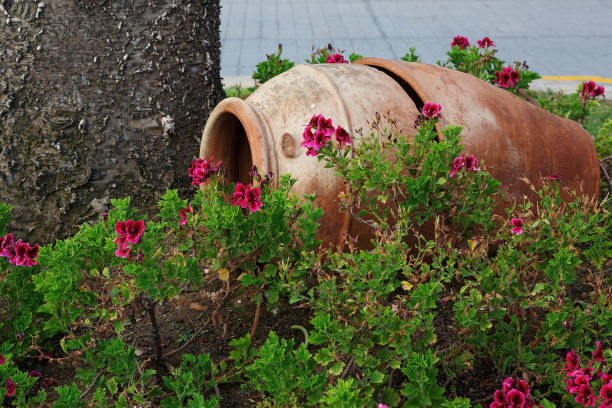 istock old jug lies on a flower bed 1286828424