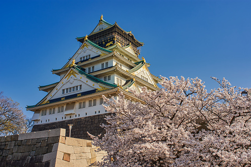 Beautiful Osaka castle with blooming cherry blossoms in Sakura spring season in Osaka, Japan