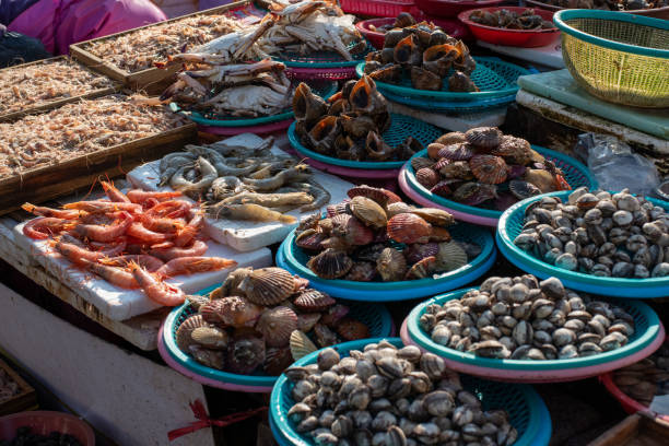 Jagalchi Market in Busan