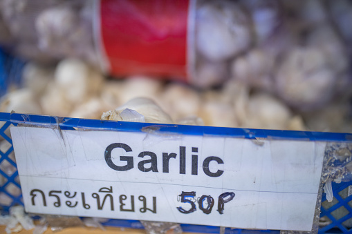 Picture of the word Garlic Written in Thai on Sign on a Blue Plastic Basket Full of Garlic