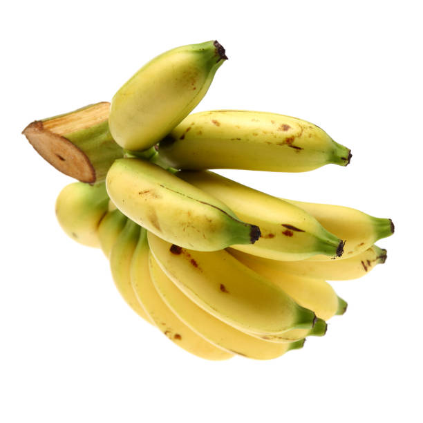 istock Bunch of baby banana 1286835458
