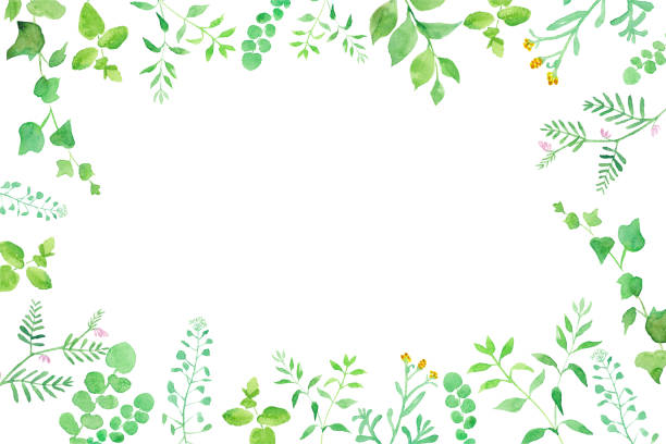 Surrounding frame of green flowers. Watercolor illustration trace vector Surrounding frame of green flowers. Watercolor illustration trace vector ivy leaf stock illustrations