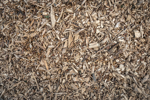 Closeup of irregularly shaped wood chips in a heap. The wood chips are the result of the shredding of pruned branches.