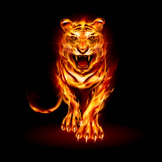 Fire Tiger vector art illustration