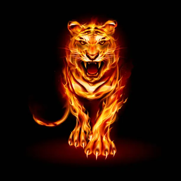 Vector illustration of Fire Tiger