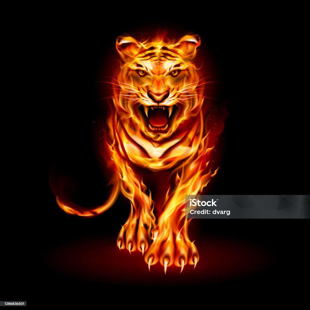 Bộ sưu tập hình ảnh con hổ lửa cực chất, với hơn 999+ tấm ảnh độ phân giải 4K