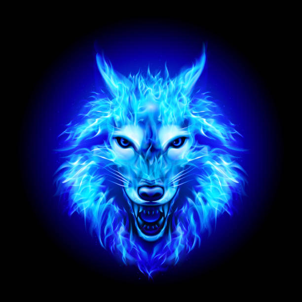 Fire Wolf Stock Illustration - Download Image Now - Wolf, Fire - Natural Phenomenon, Coyote - iStock Fire Wolf Stock Illustration - Download Image Now - Wolf, Fire - Natural Phenomenon, Coyote - iStock