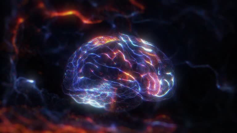 Human Brain Hologram
