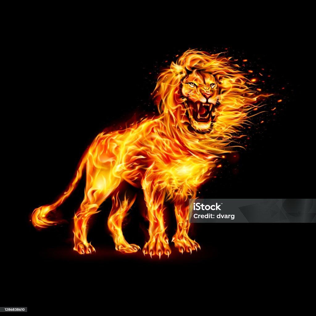 Sư tử lửa - Trả phí Bản quyền Một lần Sư tử vectơ sẵn có