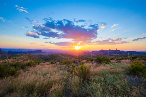 istock Big Bend National Park, Sotol Vista 1286840000
