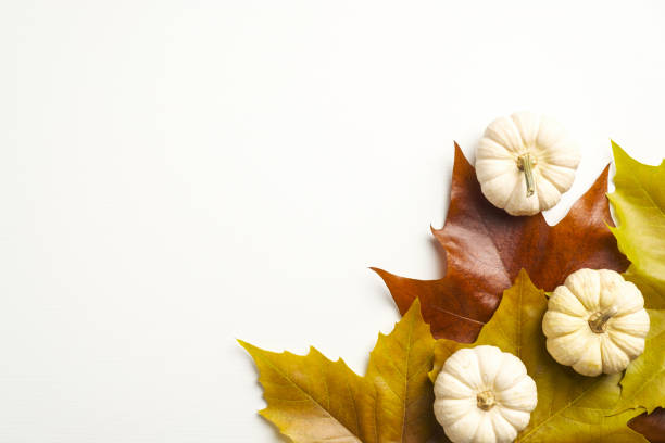 istock Autumn flat lay composition with pumpkins and colorful maple leaves on white background. Autumn fall, Thanksgiving concept. 1286840195